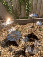 y. Root Assortment.jpg